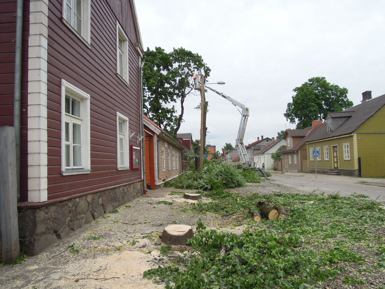 Foto. Puude mahavõtmine Kreutzwaldi tänaval. Võru, 10.06.2013.