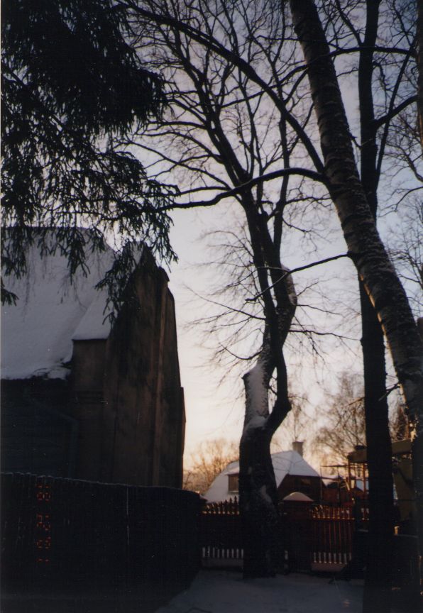 Foto. Vahtrapuu Fr. R. Kreutzwaldi maja kõrval. Võru, 18.12.2001.