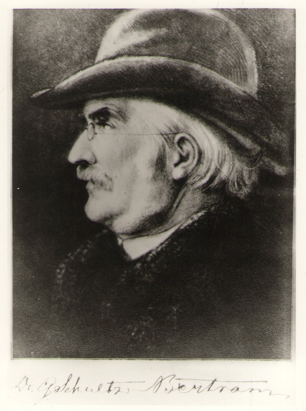 Negatiiv. Georg Julius SCHULTZ-BERTRAM.