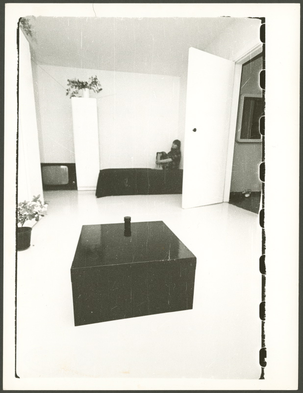 Mare Vindi ja Tõnis Vindi kodu