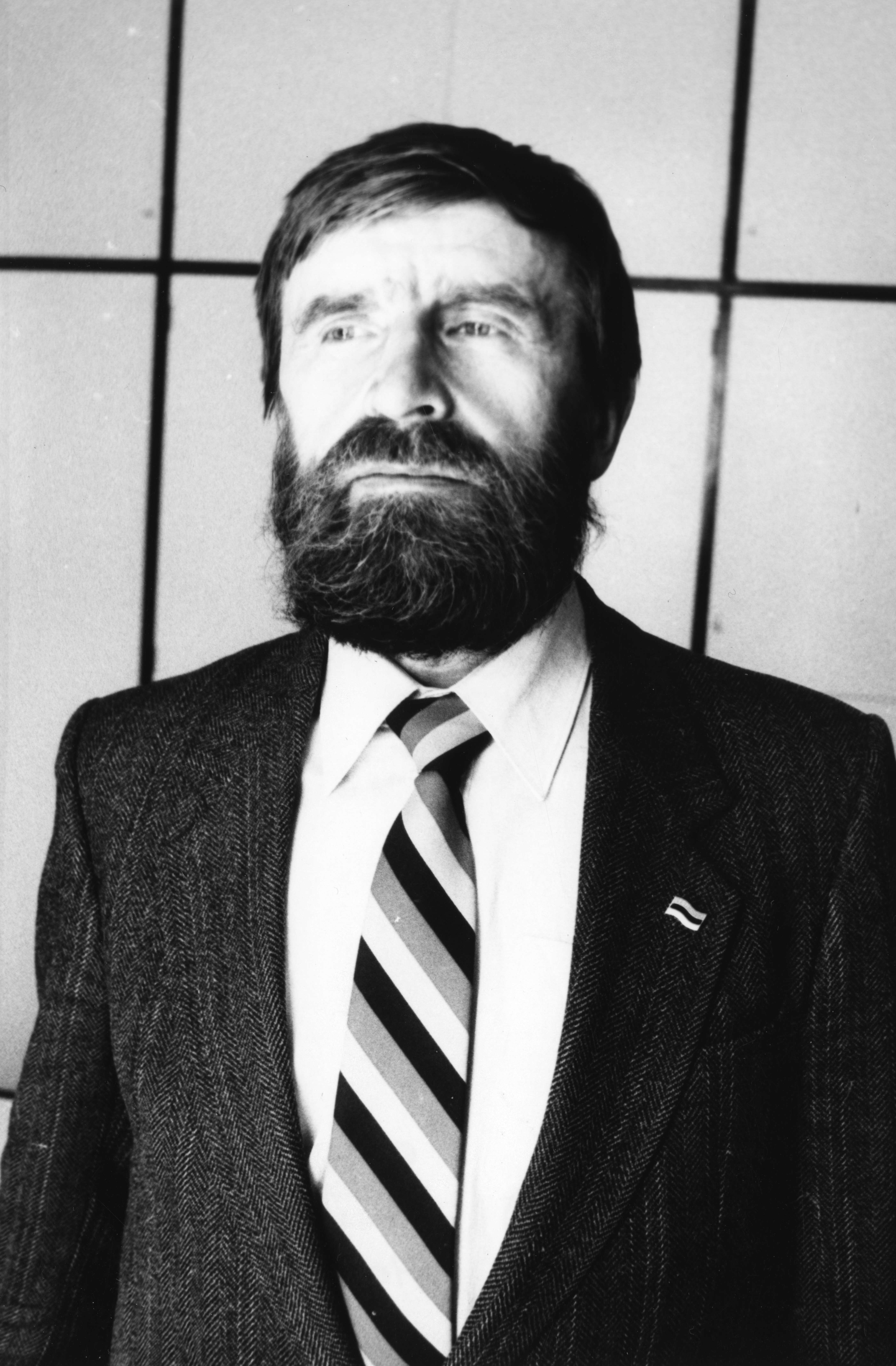Kunstnik Heinz Valk