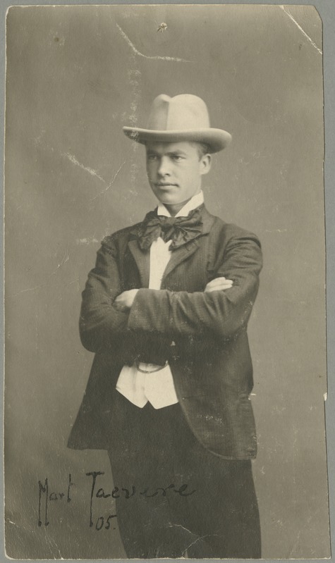 Kunstnik Mart Taevere