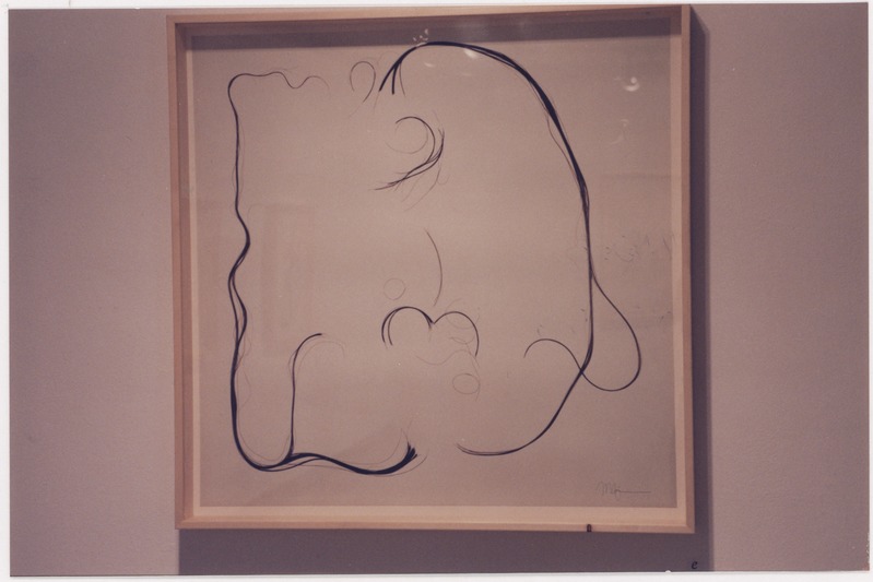 Miira Ojaneni fotonäitus "Lood"