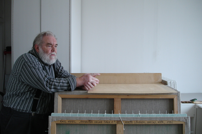 Kunstnik Raul Meel