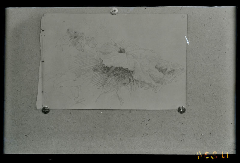 Eesti ja baltisaksa autorite teosed