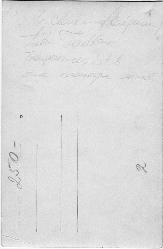 Kunstnik Ants Laikmaa aiamaja Taeblas