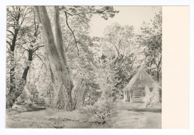 Audru kirikumõisa pargis