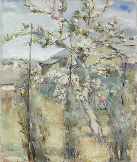 Õitsev puu