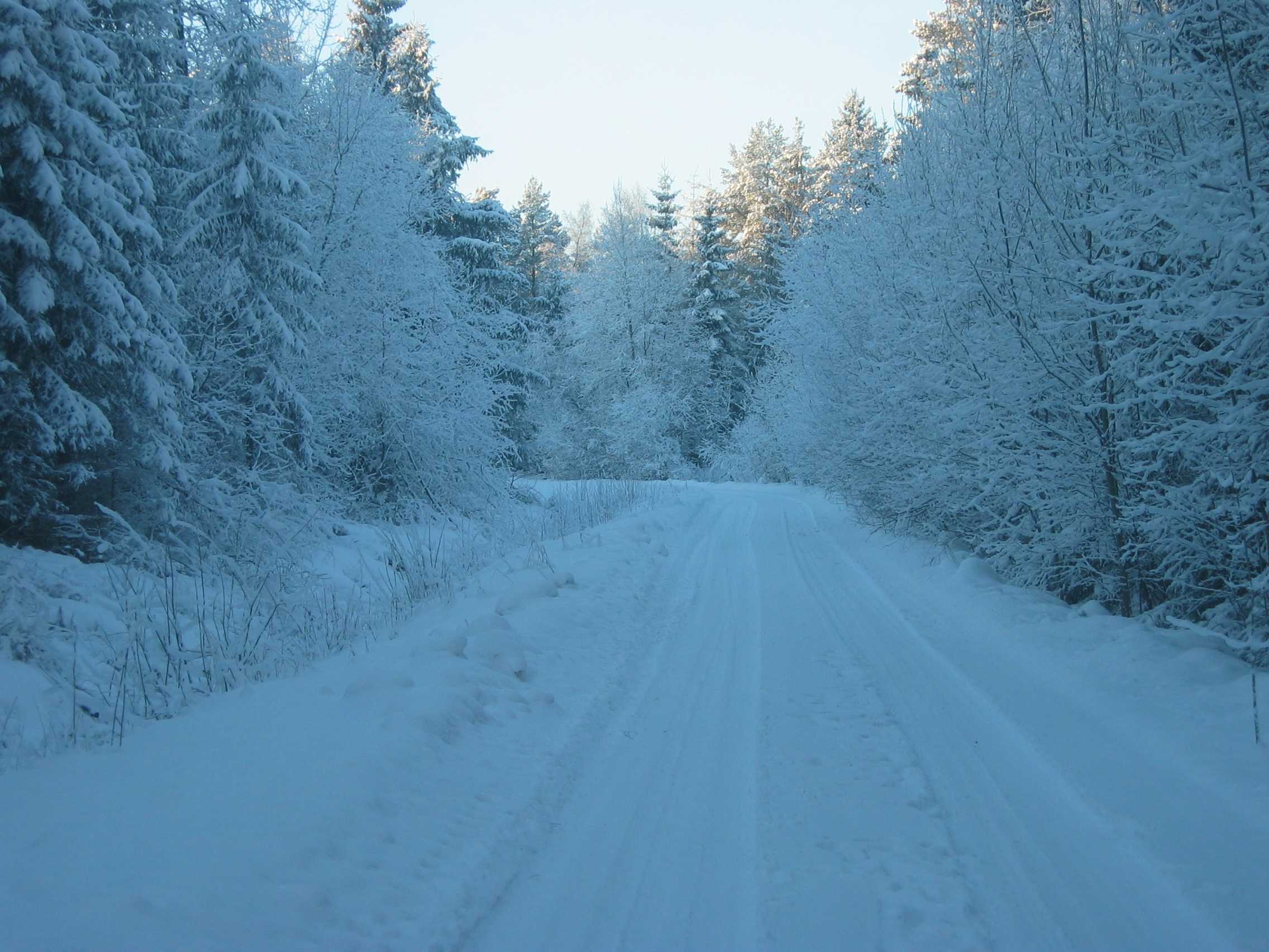 foto Talvine tee Harjumaal 2003