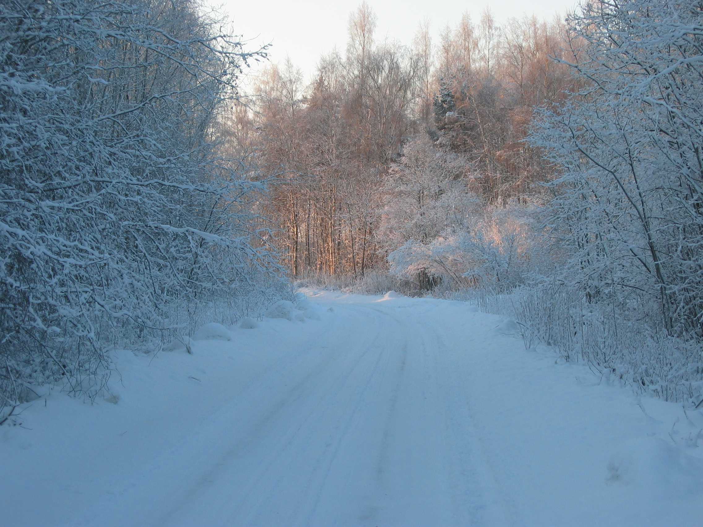 foto Talvine tee Harjumaal 2003