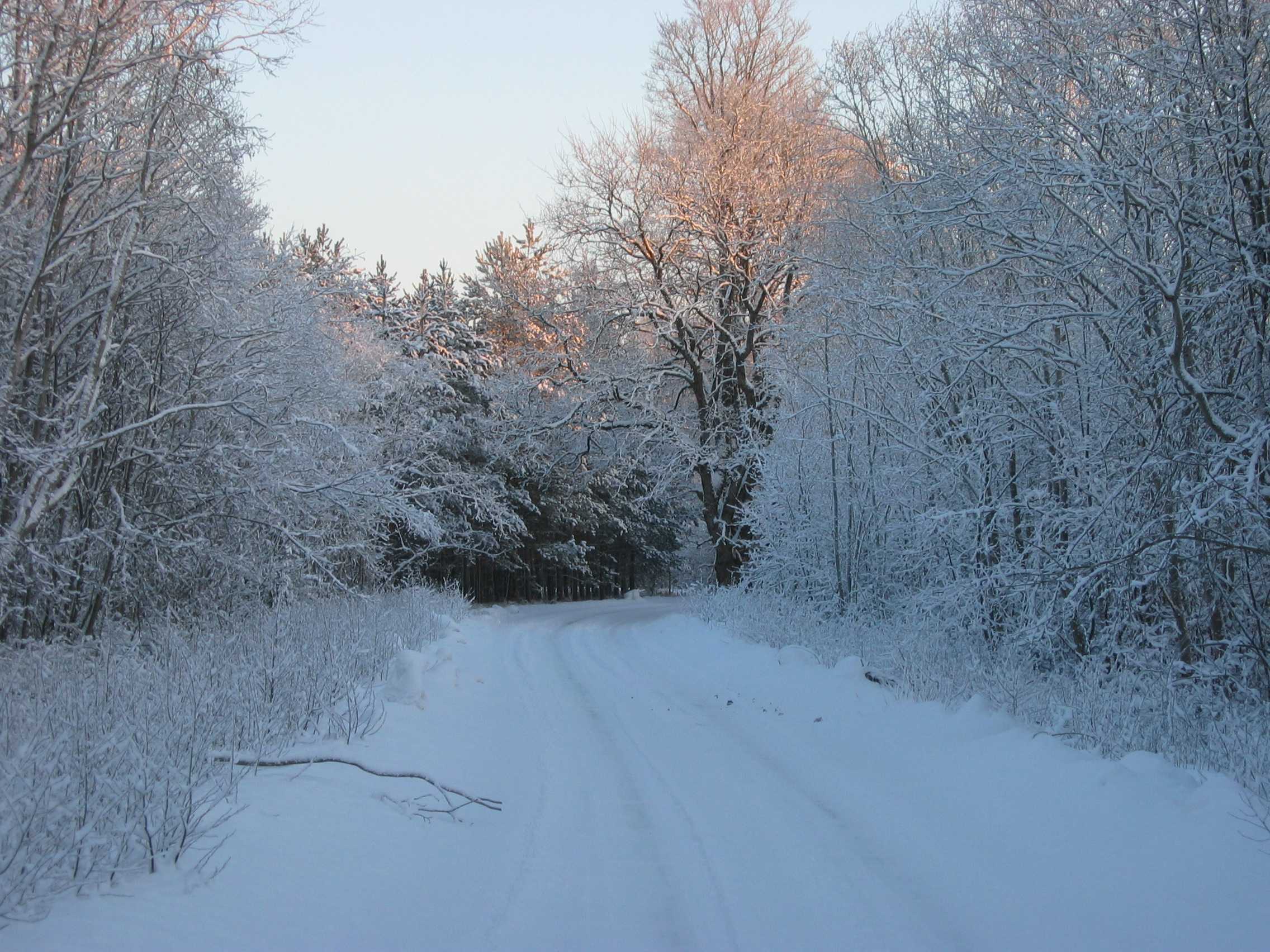 foto Talvine tee Harjumaal 2003