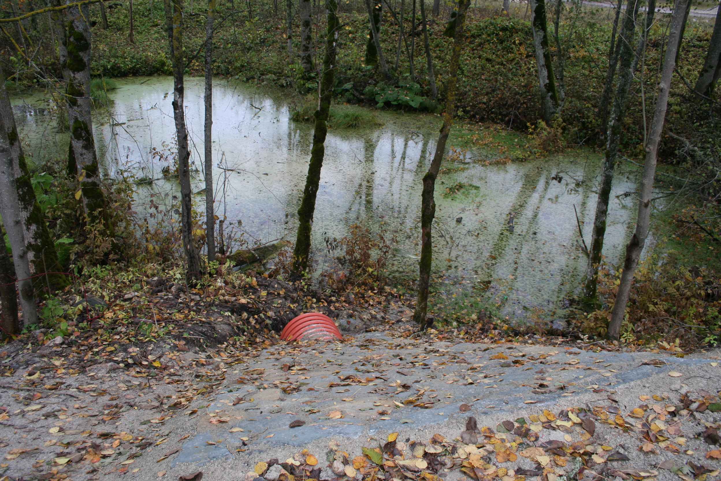Paldiski-Padise remondiobjekti käikuandmine 23. okt 2009