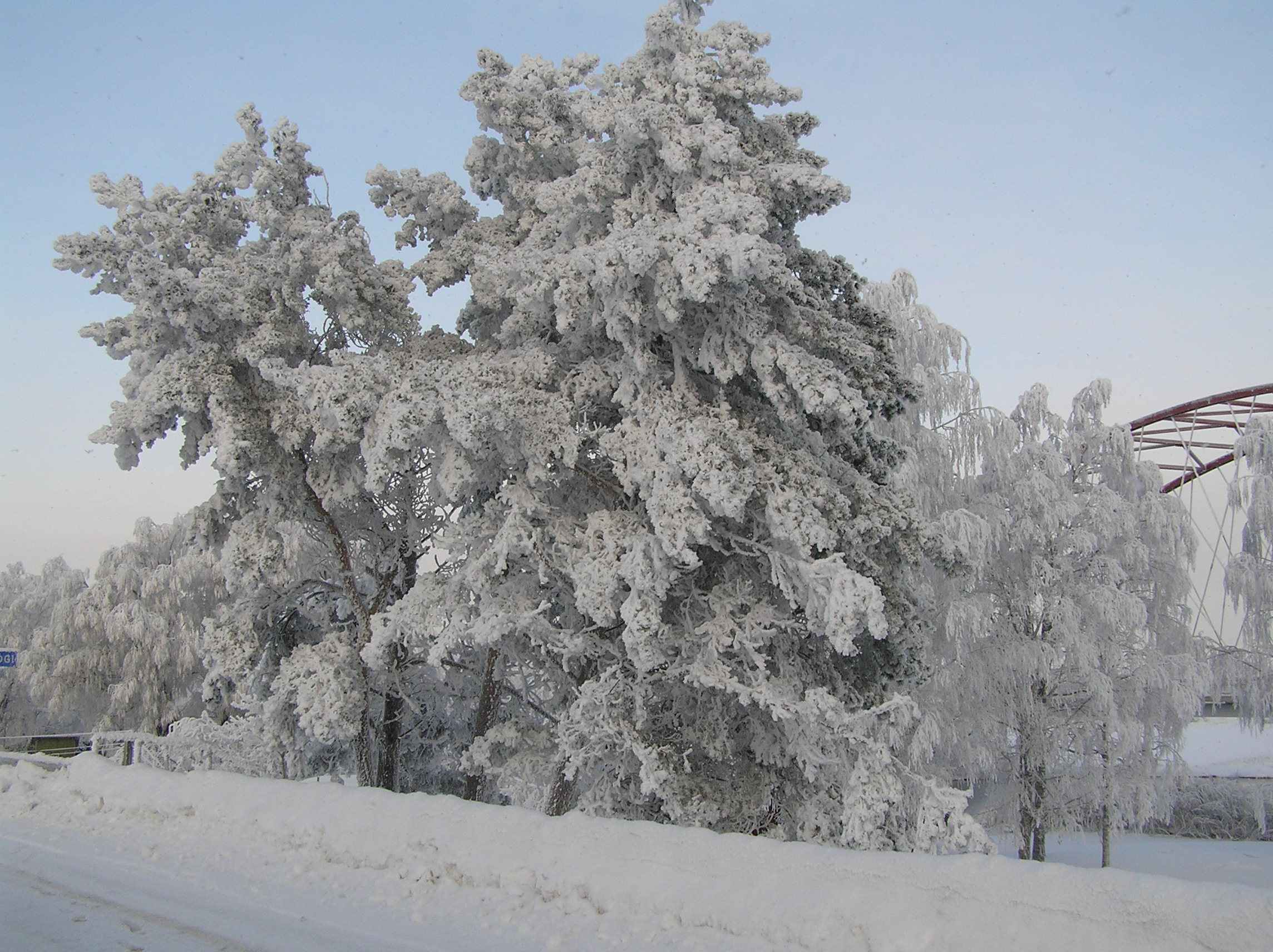 Talv Rannu-Jõesuu sillal 23. dets 2009