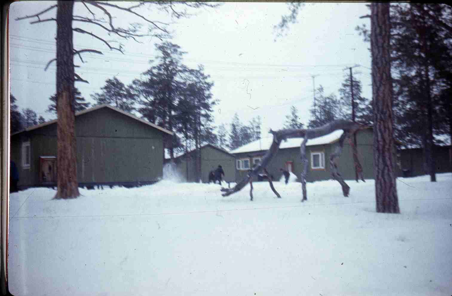 PIMI Eesti asula