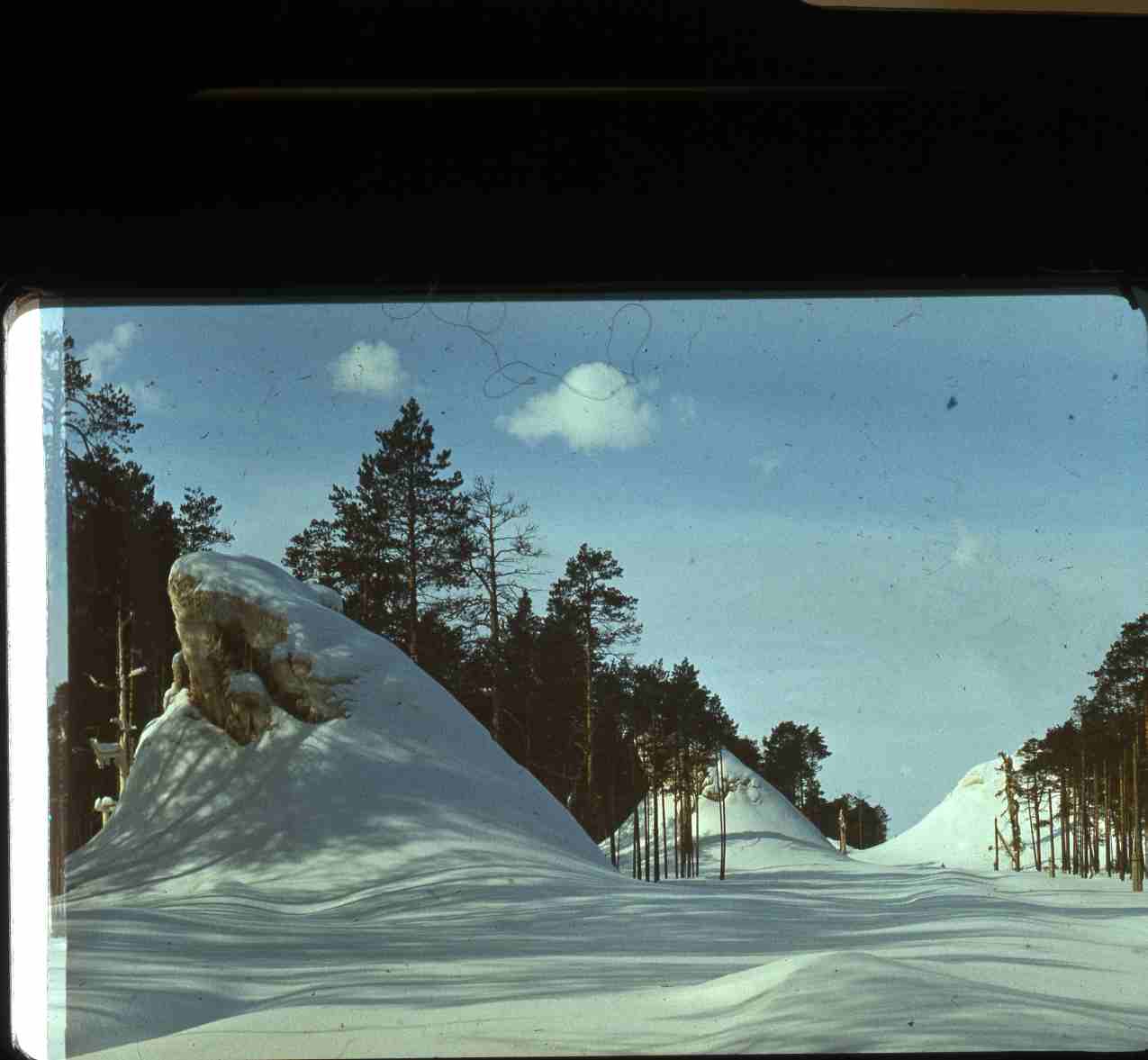 PIM - loodus talvel