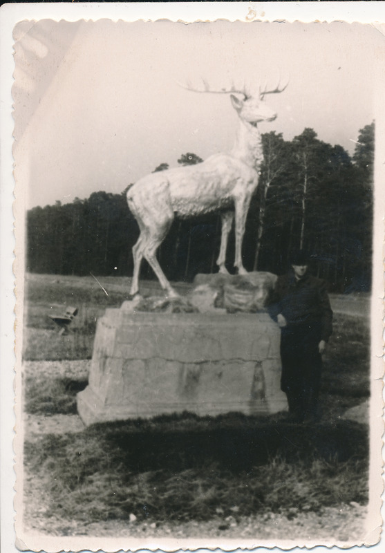 Maanteeskulptuur Hirv