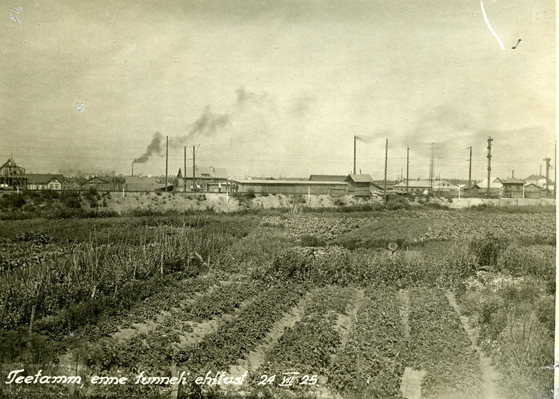 Teetamm enne tunneli ehitust