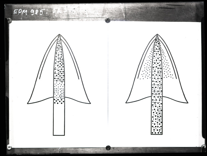 Üraskite dendrogrammid