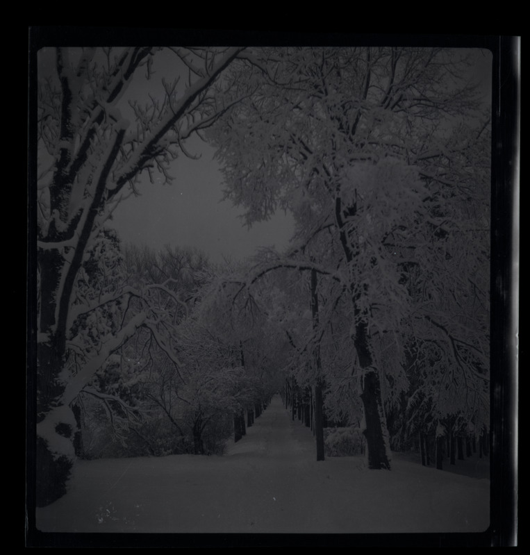 Raadi park ja katsejaamad