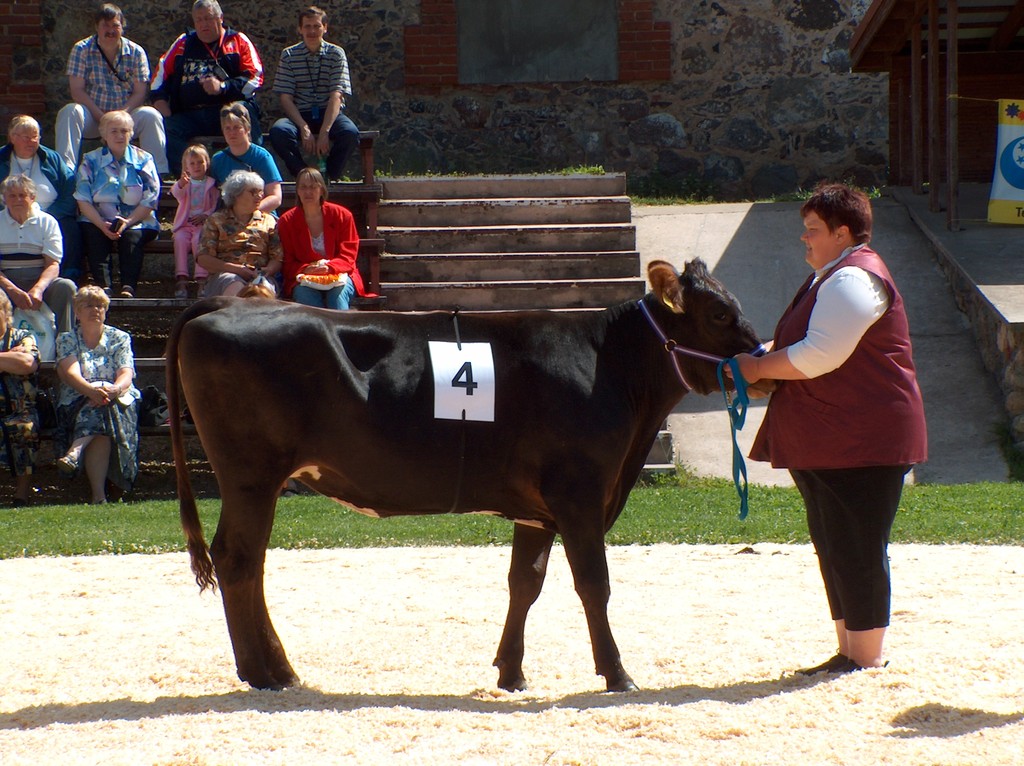 Viss 2005. Sallasto OÜ lehmik  UNNE