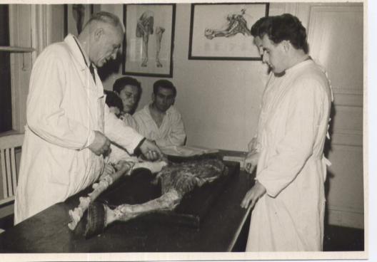 Prof. Elmar Vau juhendab anatoomia laboratoorseid töid 1961