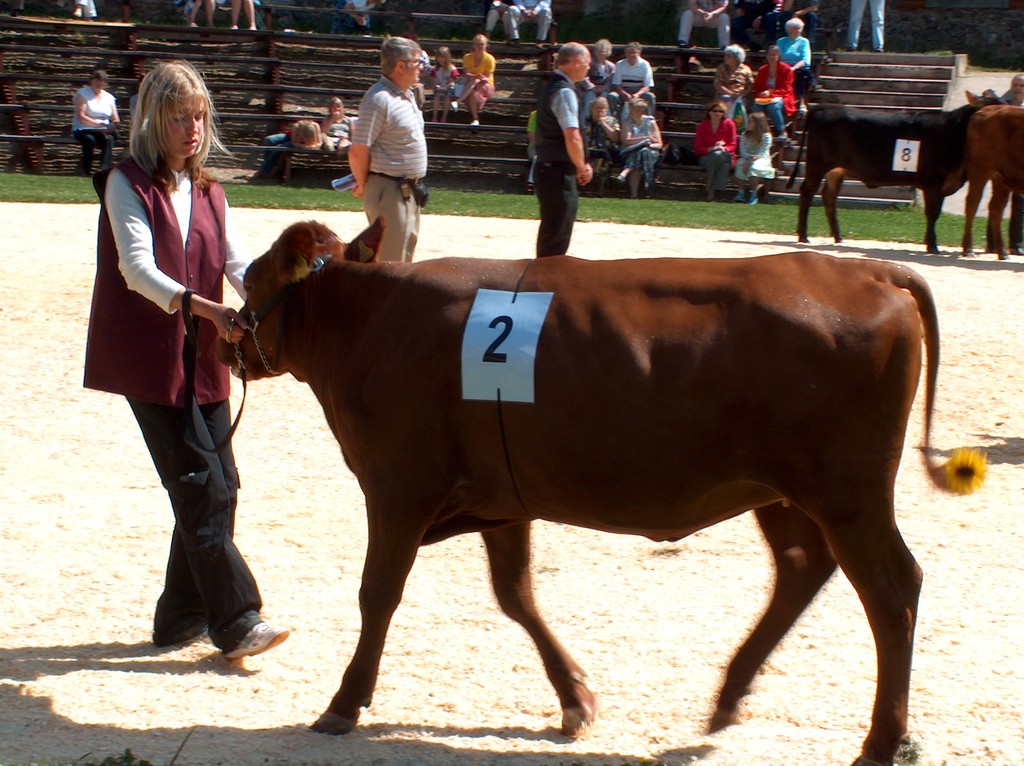 Viss 2005. Krootuse Agro AS lehmik IIDOL