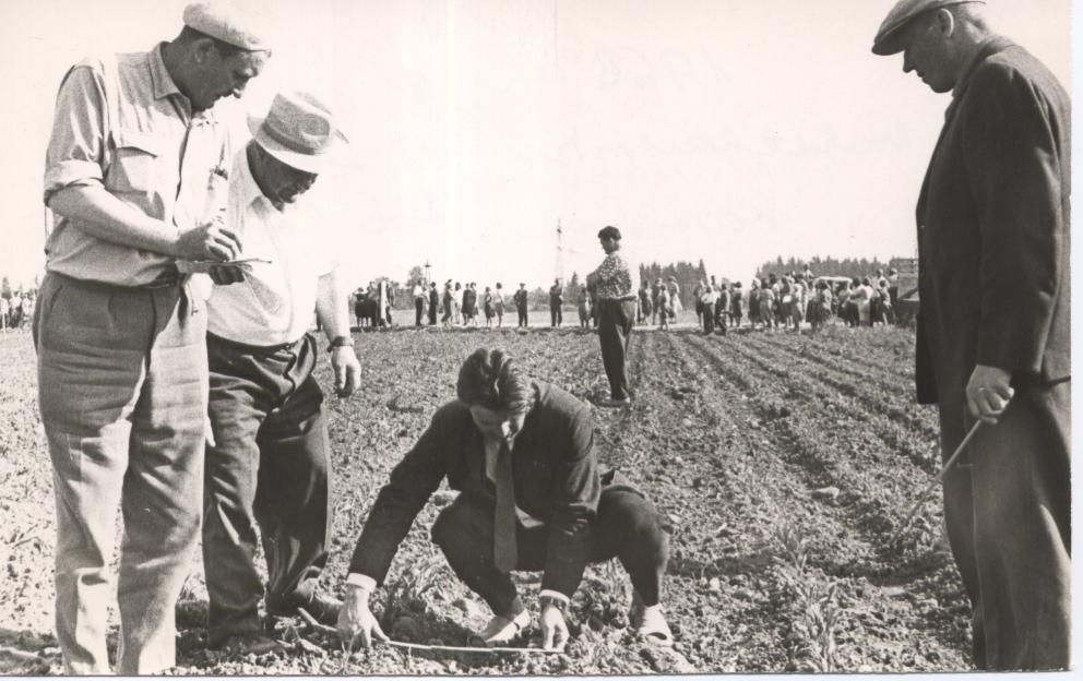 1966.a. vaheltharimise võistluse komisjon töötamas