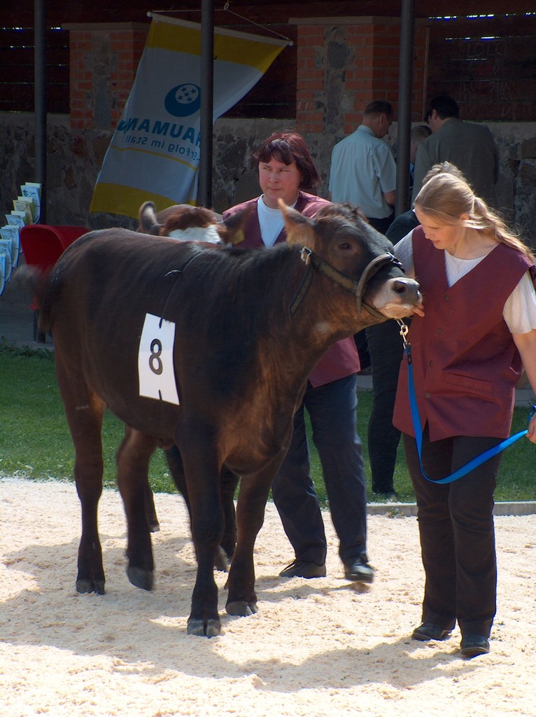 Viss 2005. Haage Agro OÜ lehmik KIRKE