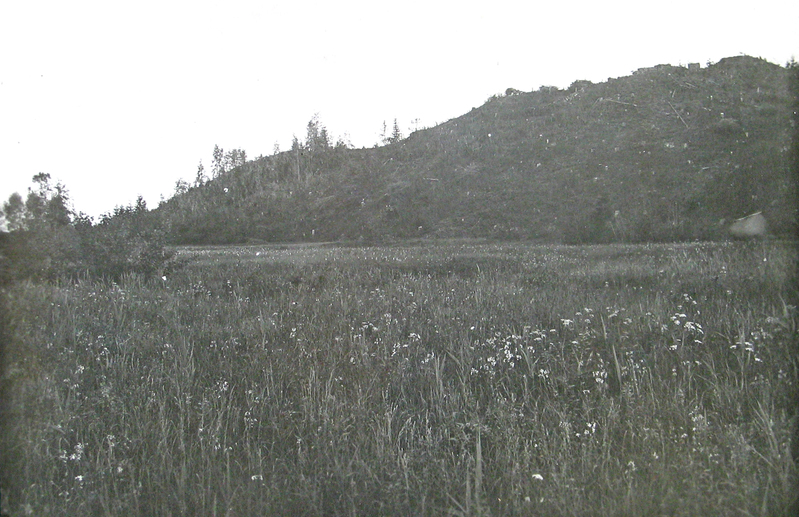 Mägi Roela lähedal