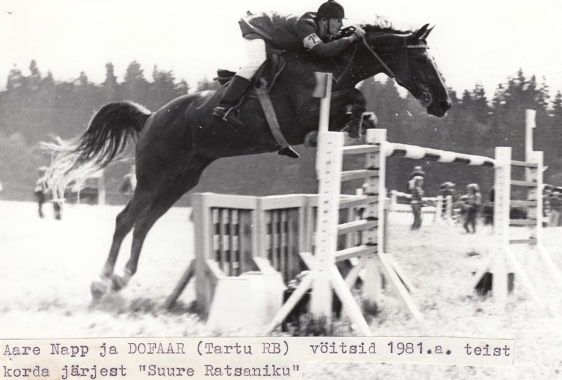 1981.a. Suure Ratsaniku võitja Aare Napp ja Dofaar