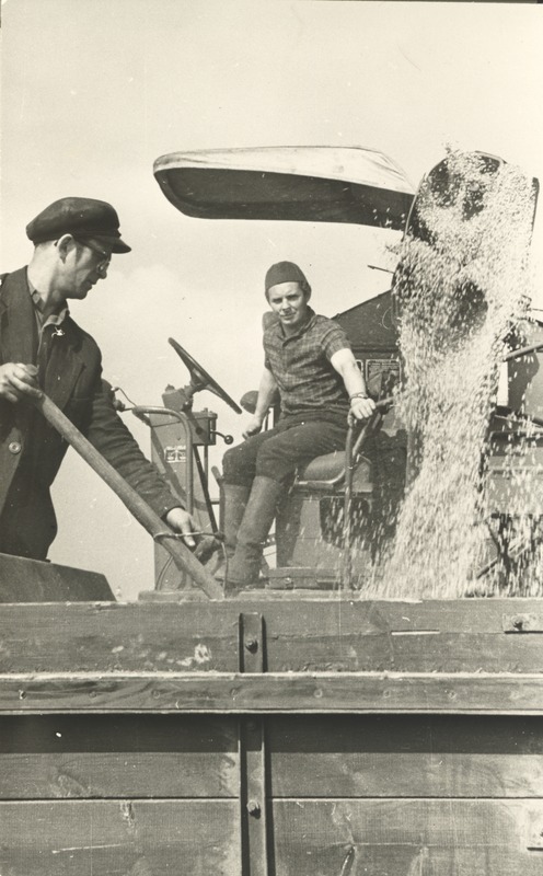 Arnold Viigimäe, Mitsurini nim. kolhoosi kombainer