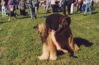 Tartu Sügisnäitus´99 ja Tõuloom´99. Koerte hooldussalongi "Dolly" moedemonstratsioon