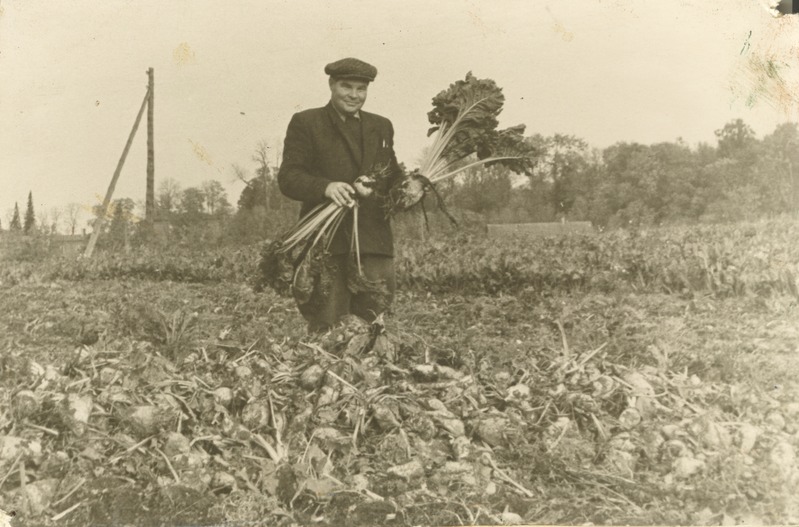 A.Sommerlingi nim. sovhoosi osakonnajuhataja Viljak