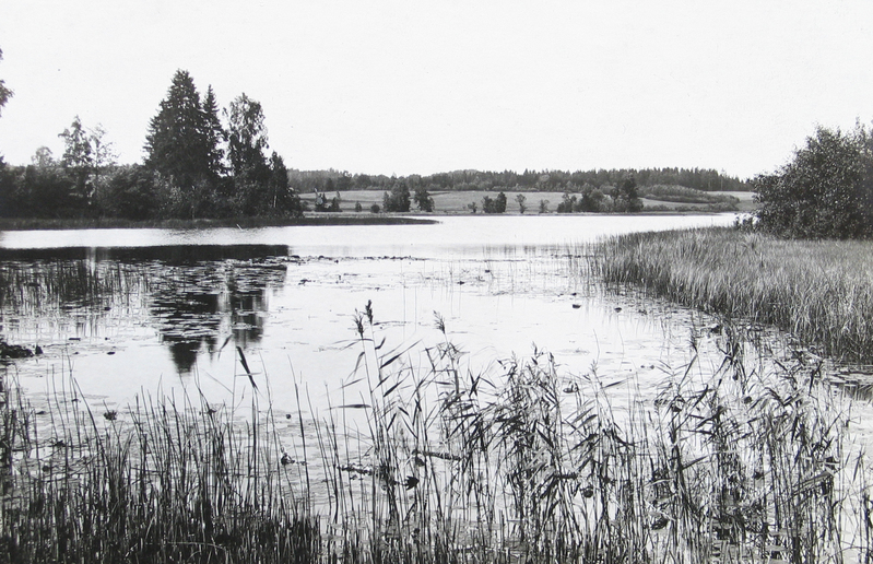 Emajõe väljajooks