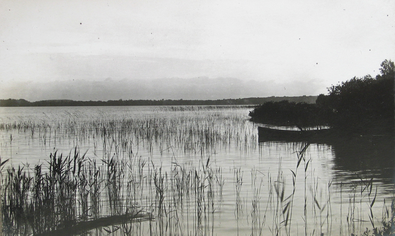 Kuremaa järv
