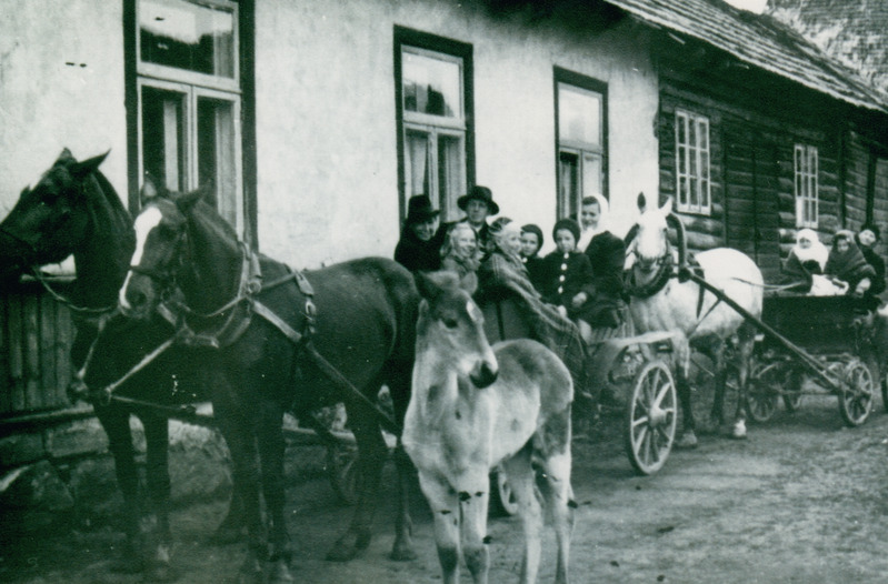 Mässa talu hobused 1944 a.