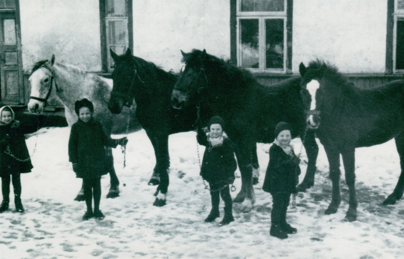 Mässa talu lapsed hobustega