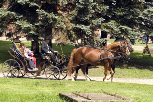 Ürituse külastajaid sõidutatakse hobusega