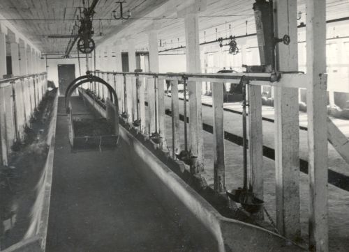 Neljarealine veiselaut