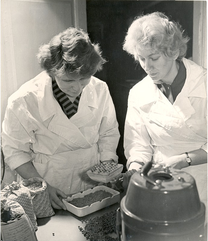 Seemnekontrolli laboratooriumis
