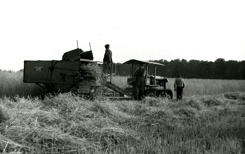Teraviljakombain Allis Chalmers koos sama firma roomiktraktoriga Jõgeva Sordikasvanduses