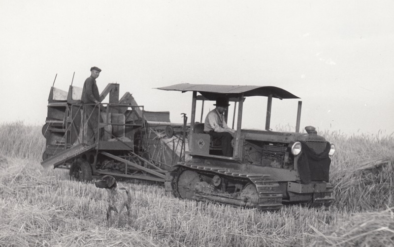 Rukkikoristus kombainiga ja traktoriga Allis Chalmers Jõgeva Sordiaretusjaamas