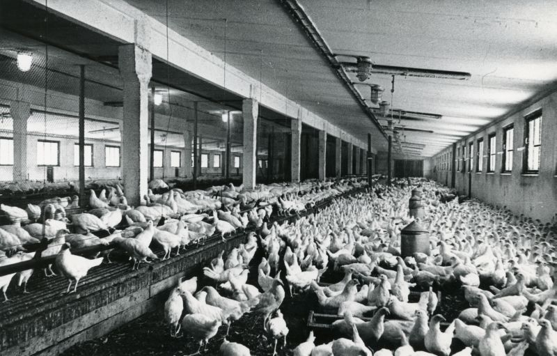 Noorkanad sügavallapanuga, osalise lattpõrandaga, ОТП-sisustusega lindlas