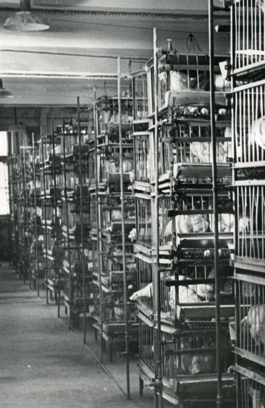 Tallinna Linnuvabriku vanad käsitsiteenindatavad puurid puuritsehhis