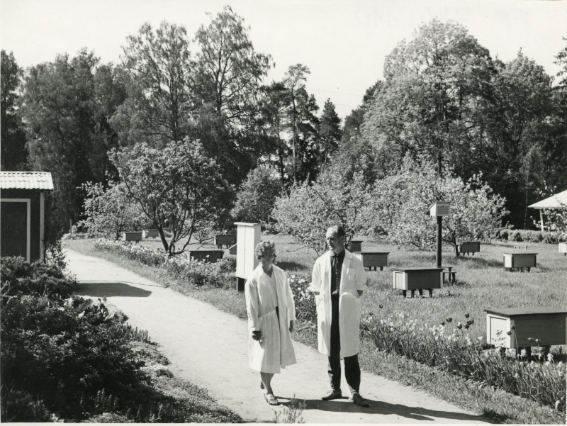 Edgar Haak ja Aino Uustalu Polli mesilas