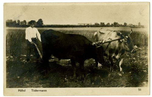 Künd härgadega