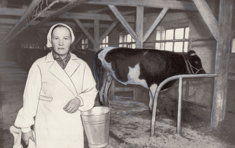 Kolhoosi eesrindlik lüpsja Hilda Rääk.