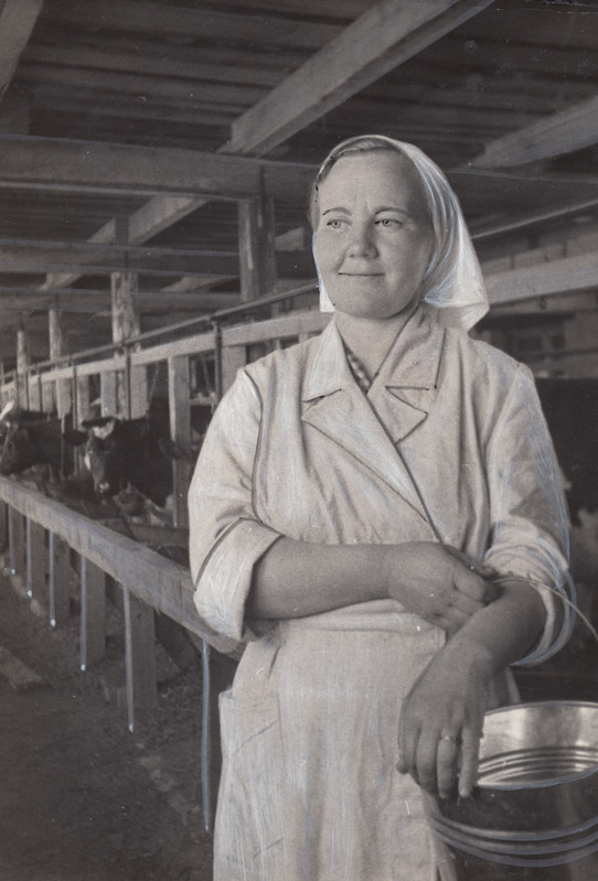 Lüpsja Elviine Sepp.