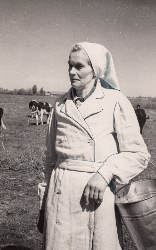 Rapla rajooni parim lüpsja Hilda Mais