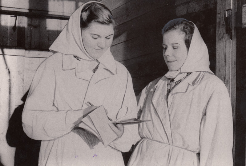 H.Sanglepp ja D.Luist arutavad omavahel töötulemusi